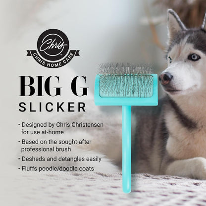 Chris Christensen Big G Dog Slicker Brush for Dogs (Goldendoodles, Labradoodles, Poodles), Groom Like a Professional, Fluff Detangle Style, Saves Time Energy, Teal, Large