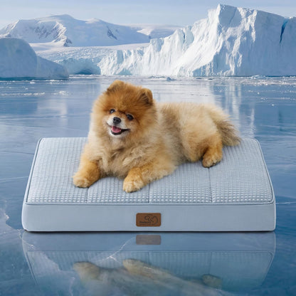 Bedsure Dog Beds Large Sized Dog - Comfy Flat Pet Beds with Removable Washable Cover, Orthopedic Egg Crate Foam Puppy Mat, Suitable for Pet Up to 65 lbs