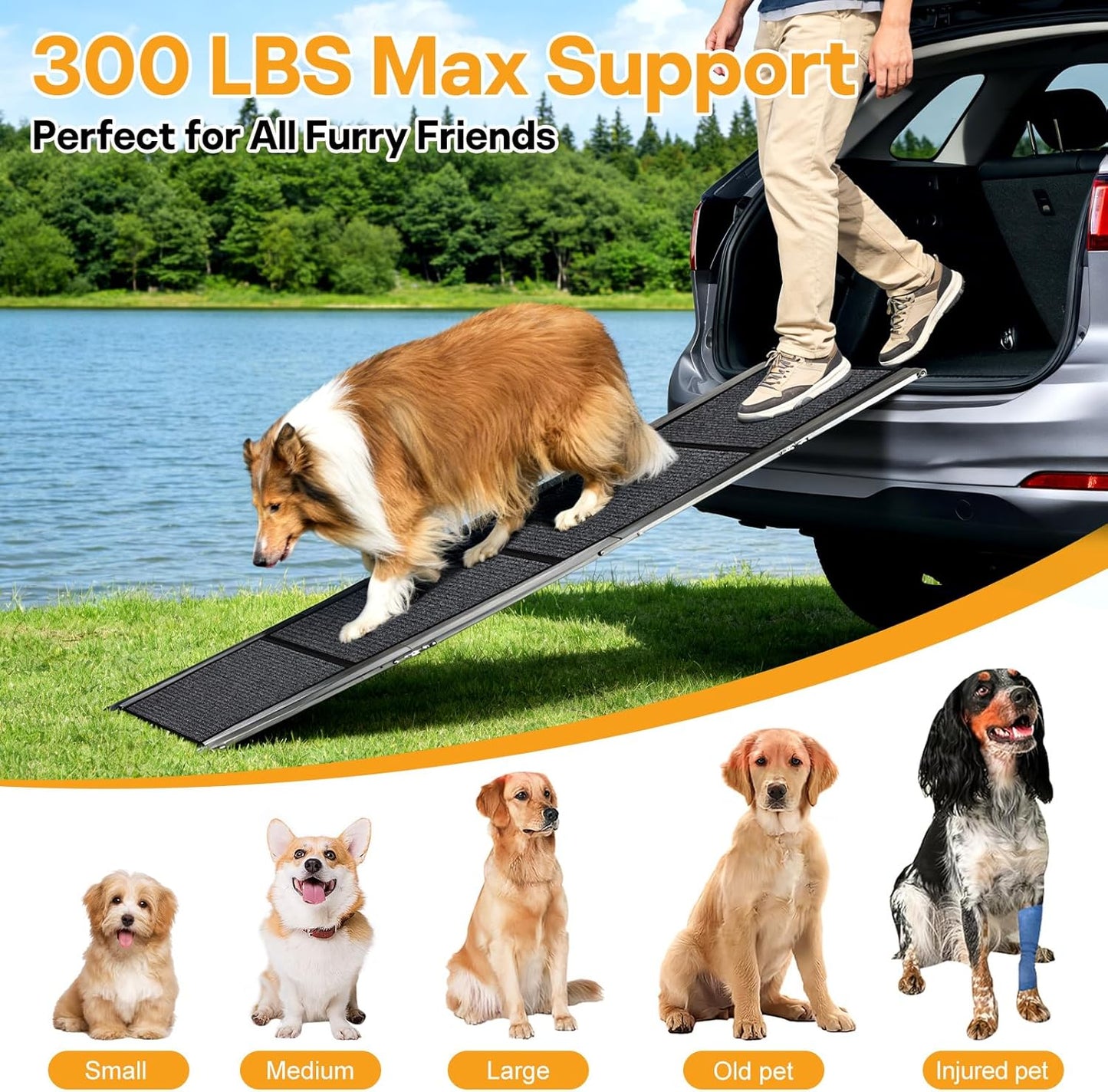 67''x 17'' Dog Ramp, Dog Ramp for Car, Folding Car Ramps for Pets, Dog Stairs Up to 250LBS, Pet Ramp with Non-Slip Rug Surface, Extra Long Dog Steps for Car, SUV, Truck
