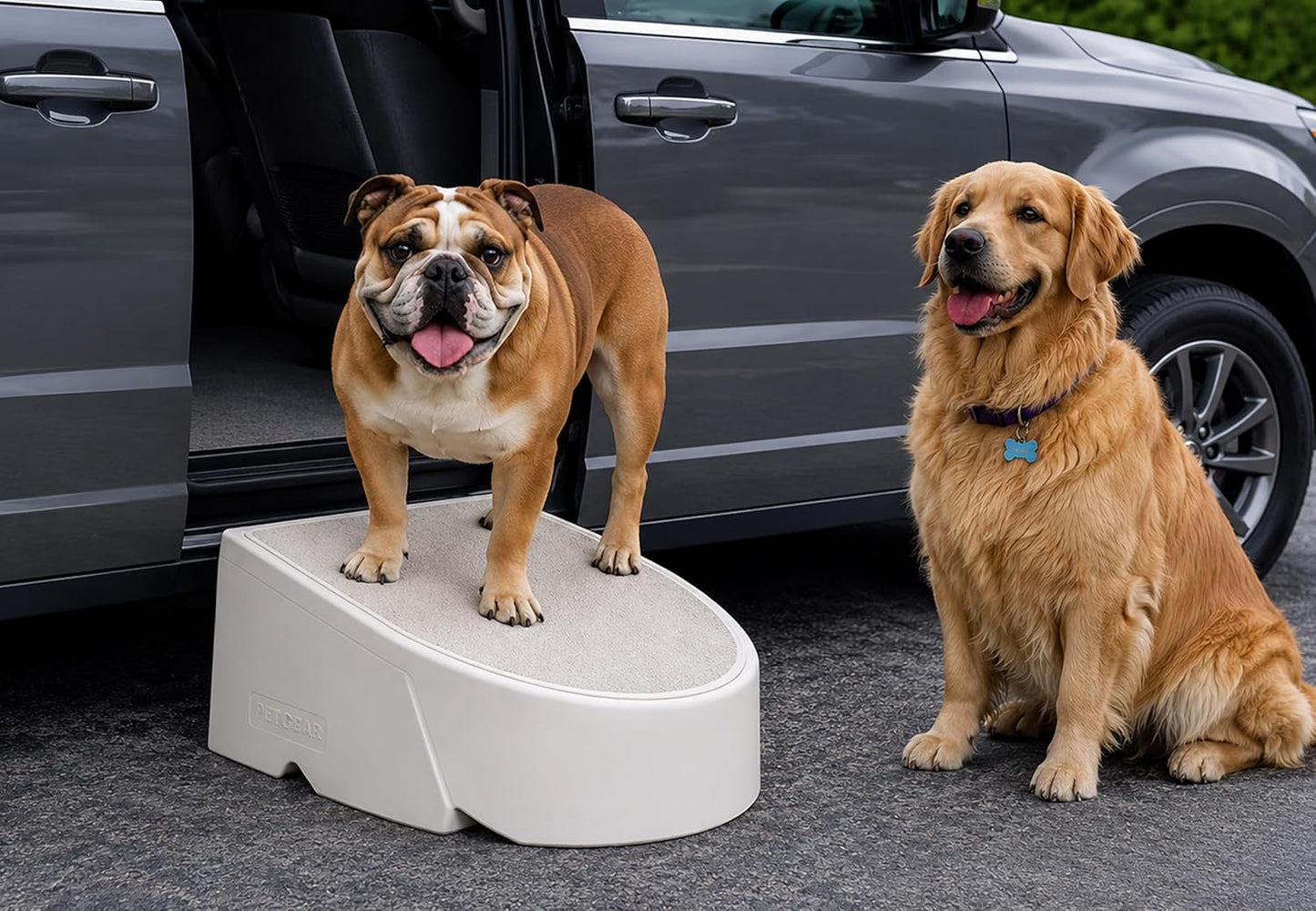 Pet Gear Stramp Stair and Ramp Combination for Dogs/Cats, Easy Step, Lightweight/Portable, Sturdy, Easy Assembly (No Tools Required), Dark Brown