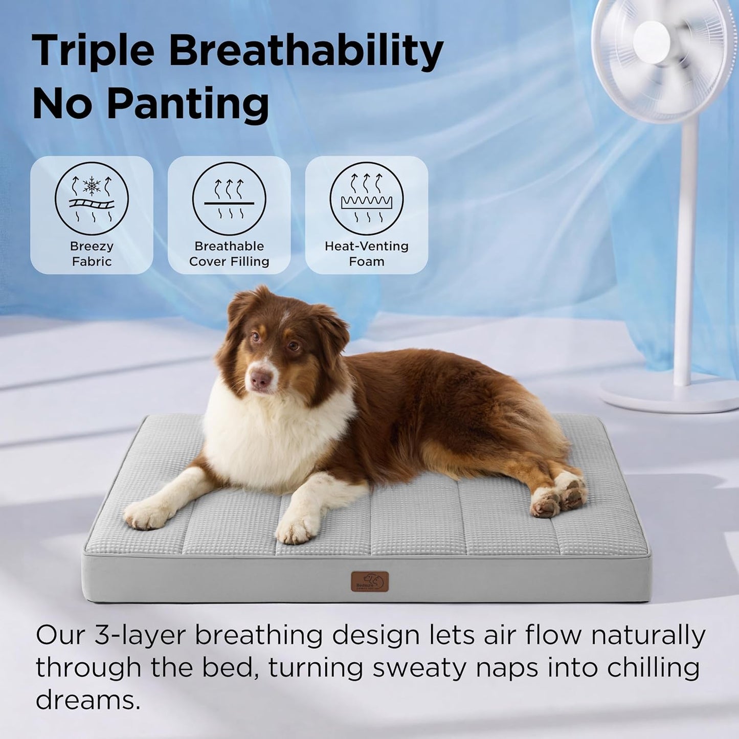 Bedsure Dog Beds Large Sized Dog - Comfy Flat Pet Beds with Removable Washable Cover, Orthopedic Egg Crate Foam Puppy Mat, Suitable for Pet Up to 65 lbs