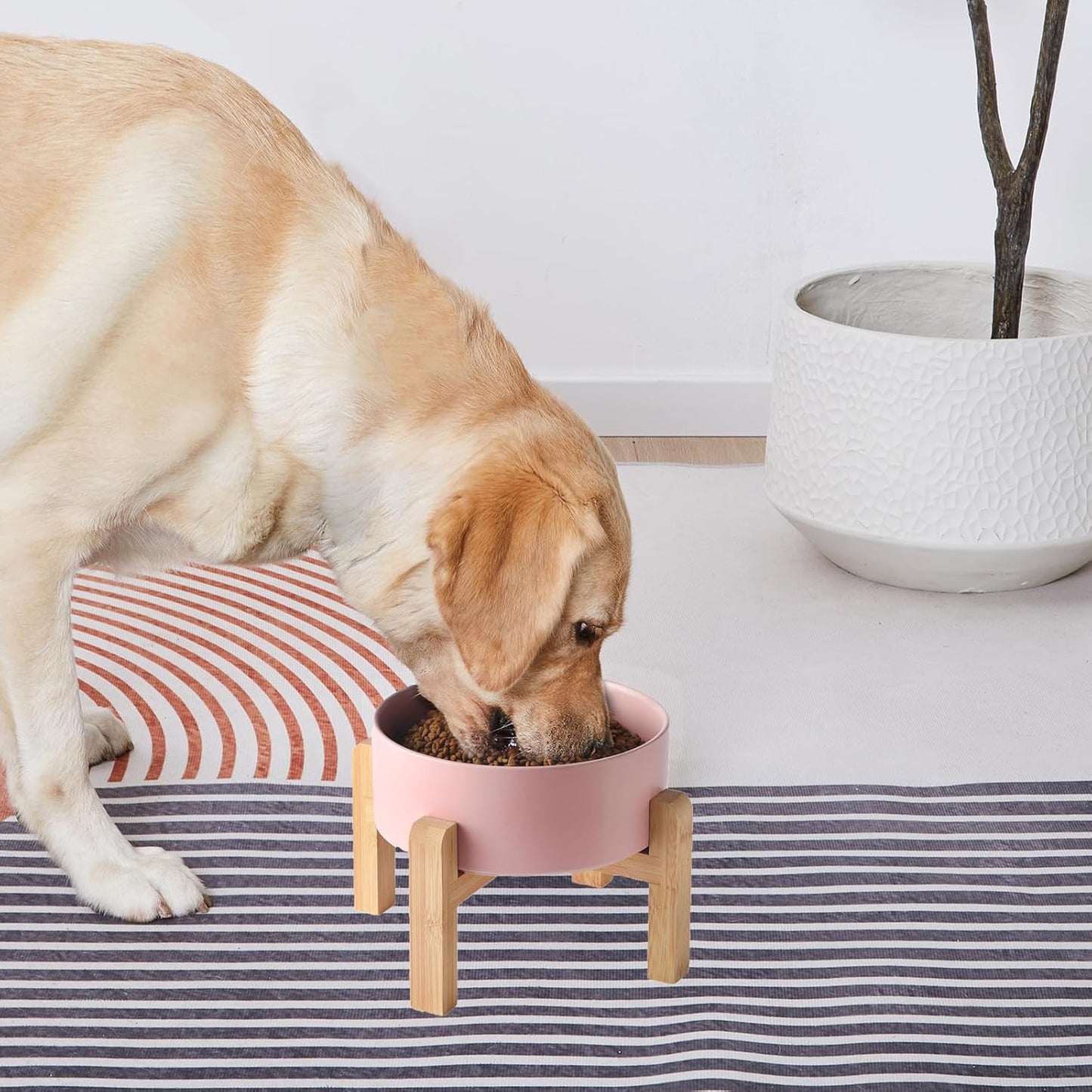 6'' Ceramic Raised Dog Bowl - 30Oz Dog Food & Water Bowl with Elevated Non-Slip Bamboo Stand, Dishwasher & Microwave Safe, Anti Vomiting Heavy Duty Pet Bowl for Small and Medium Dogs, White