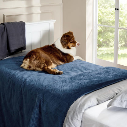 Bedsure Waterproof Couch Cover for Dogs Washable - Waterproof Blanket for Large Dogs Couch Sofa Bed Cozy, Lightweight Furniture Protector for Pet Cat Quick Drying, Ash Grey, 52x82IN