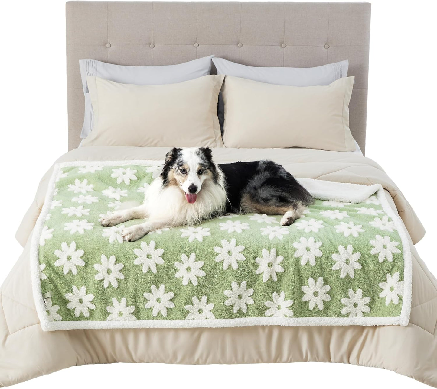 LE SURE Waterproof Dog Blanket for Large Dogs - Washable Double Sided Dog Blankets with Warm Jacquard Shag and Soft Sherpa Fleece, Pet Cat Blanket for Couch Protection, 3D Textured Cloud, Green