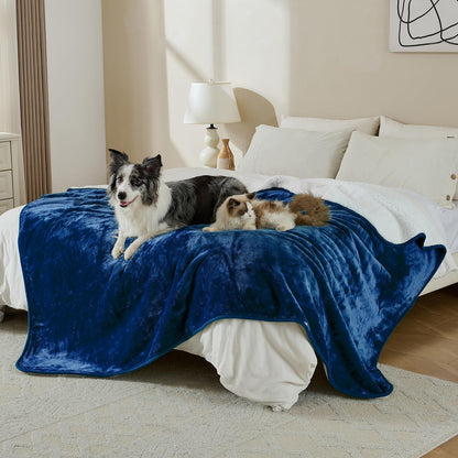 Waterproof Blanket for Bed Couch Sofa, Soft Liquid Pee Proof Pet Blanket for Dog Puppy Cat, Reversible Sherpa Fleece Furniture Protector (Dark Purple, 50x60 inches)