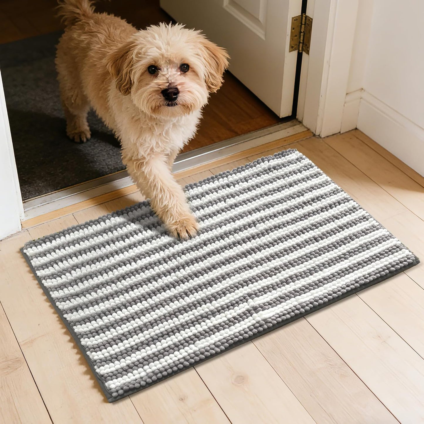 Dog Door Mat for Muddy Paws - Absorbent Quick-Dry Non-Slip Washable Chenille Pet Rug, Indoor Entryway Mat for Front Door & Crate (Brown, 24" L*16" W)