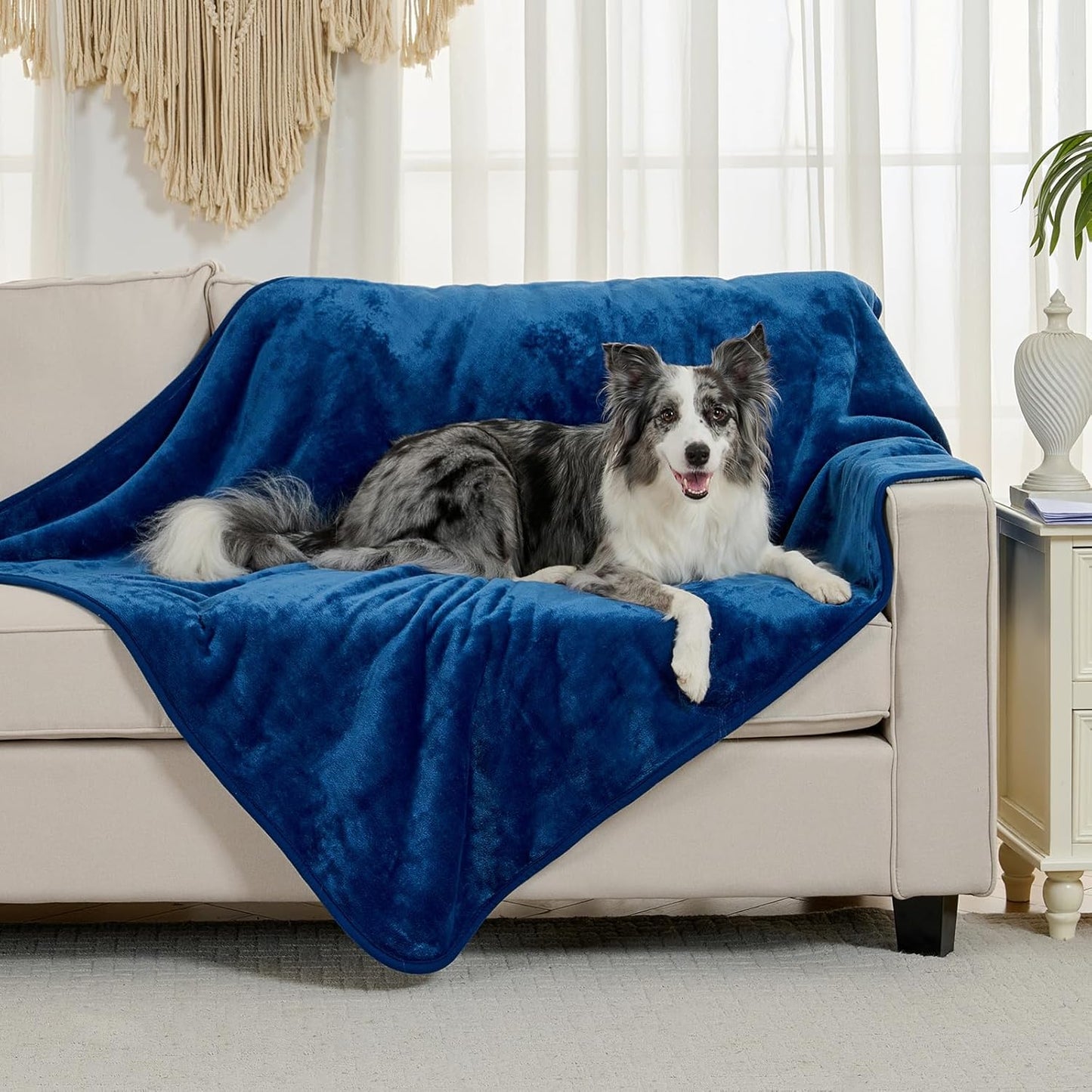 Waterproof Blanket for Bed Couch Sofa, Soft Liquid Pee Proof Pet Blanket for Dog Puppy Cat, Reversible Sherpa Fleece Furniture Protector (Dark Purple, 50x60 inches)