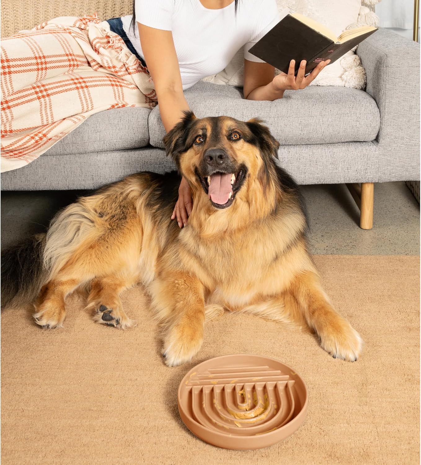 Should We Go? Slow Feeder for Dogs & Puppies, The Slowdown Bowl Silicone Slow Eating, Modern Lick Mat Design, Reduces Gulping, Fits 2 Cups, 7.5” Across x 1.5” Tall, Mealtime Challenge, Medium-Blush