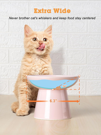 LoeJan Elevated Cat Food and Water Bowls Set, Extra Wide and Raised Ceramic Bowls, Anti-Vomit Whisker-Free Pressure Cat Feeder for Kittens to Adult Cats and Small Dogs (White, Water Bowl)