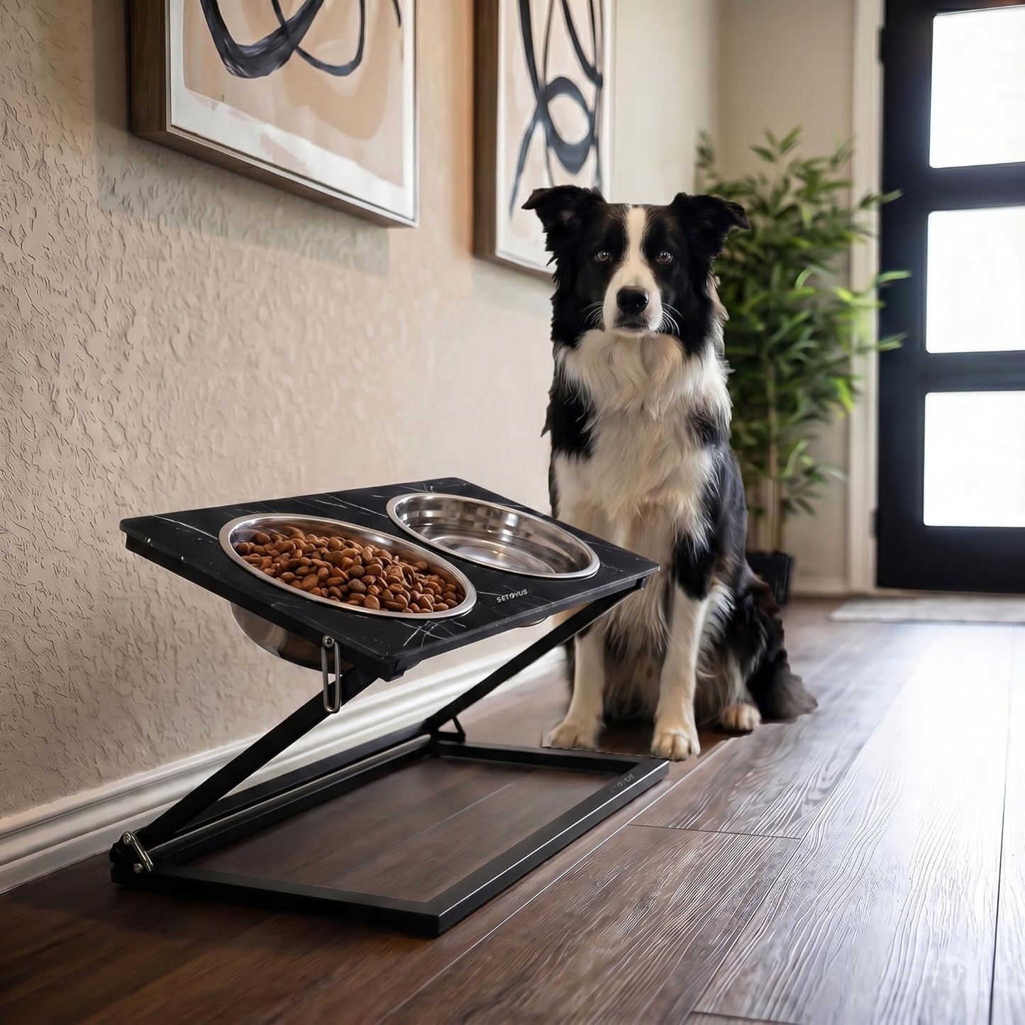 Elevated Dog Bowls, Adjustable Raised Dog Bowl Stand with 2 Stainless Steel Food Bowls 20°Tilted Water Bowls for Medium Small Sized Dogs (Black, Medium)