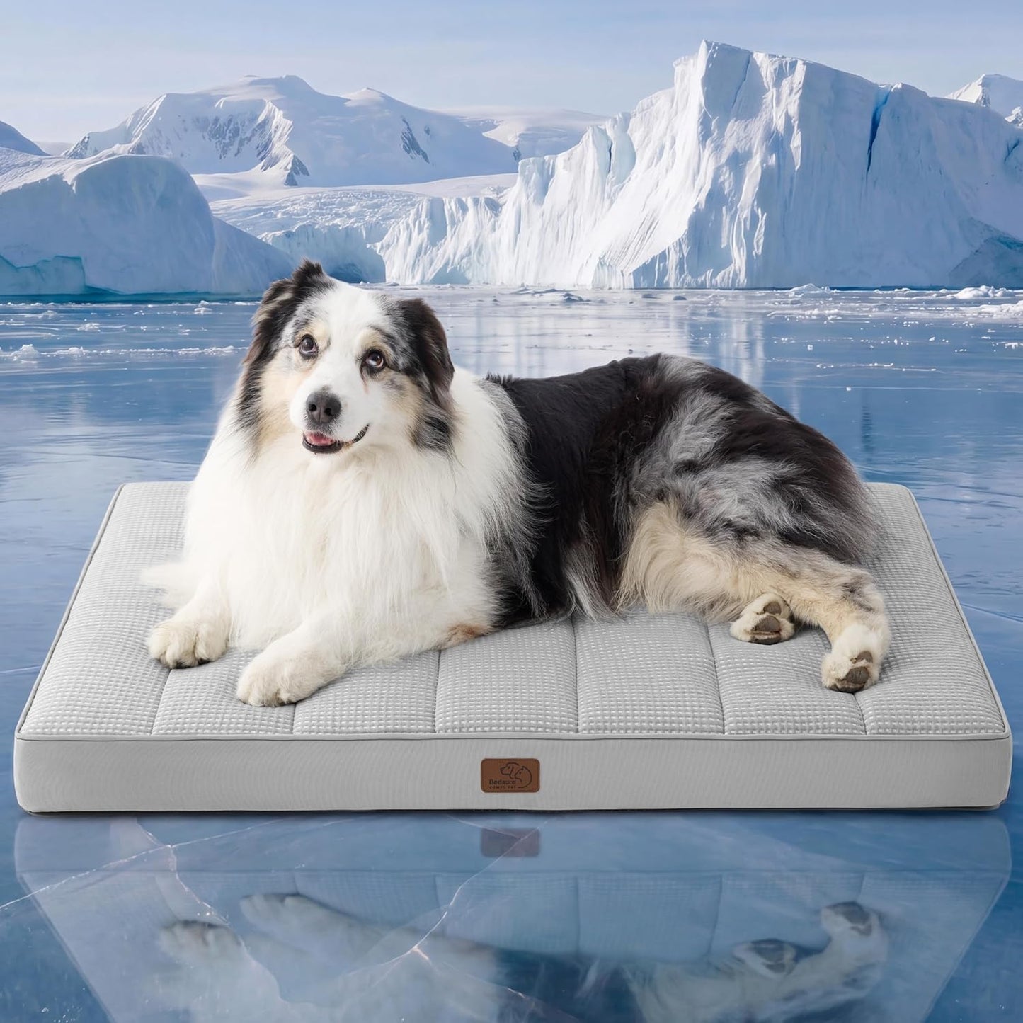 Bedsure Dog Beds Large Sized Dog - Comfy Flat Pet Beds with Removable Washable Cover, Orthopedic Egg Crate Foam Puppy Mat, Suitable for Pet Up to 65 lbs