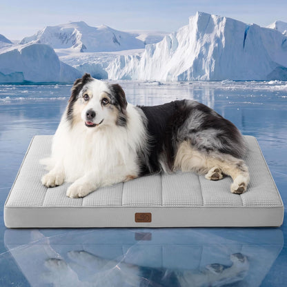Bedsure Dog Beds Large Sized Dog - Comfy Flat Pet Beds with Removable Washable Cover, Orthopedic Egg Crate Foam Puppy Mat, Suitable for Pet Up to 65 lbs