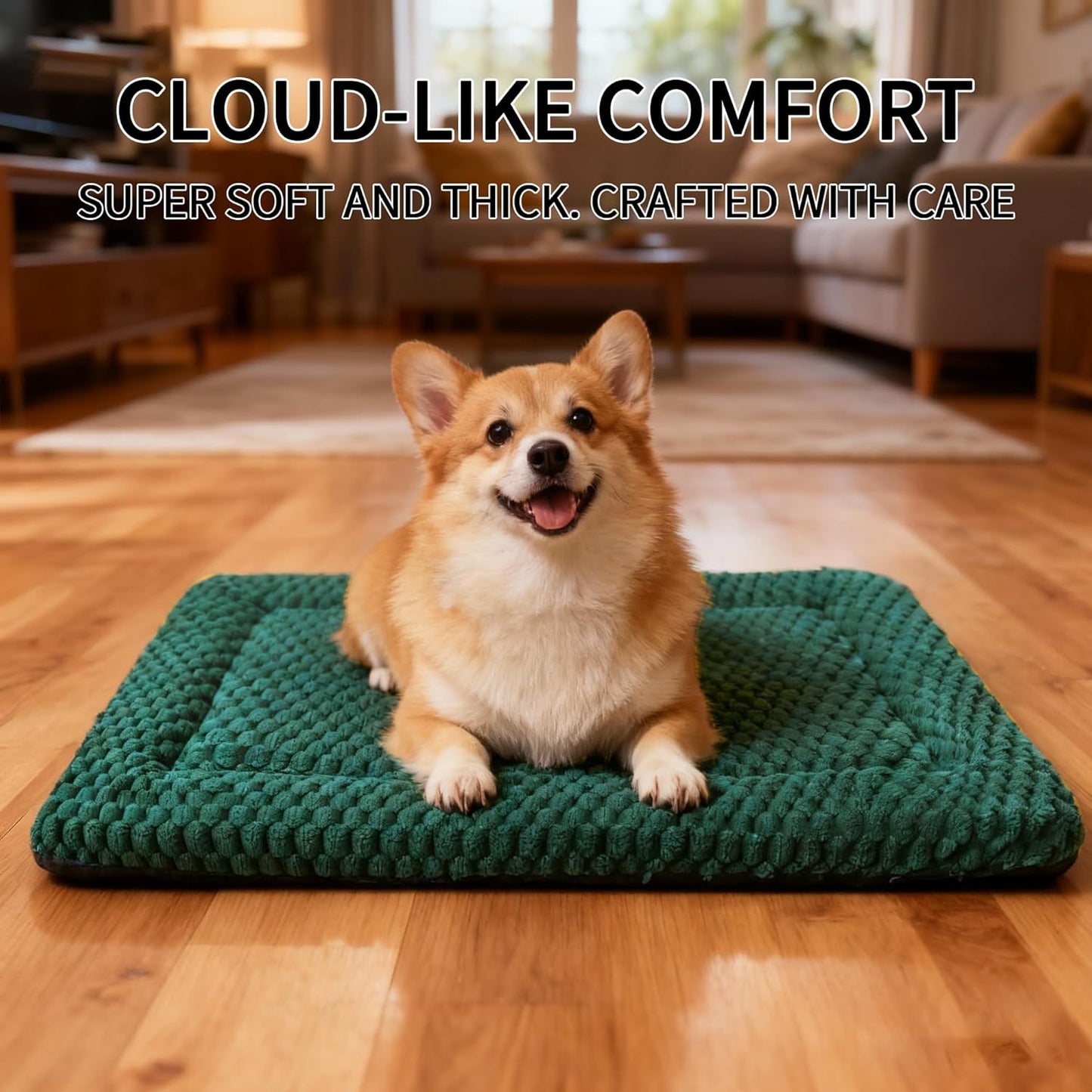 Dog Bed Mat, Reversible Crate Pad & Cute Dog Bed - Machine Washable Kennel Mat with Ultra Soft for Small Dogs (Cool/Warm), 24" x 18", Grey&Star