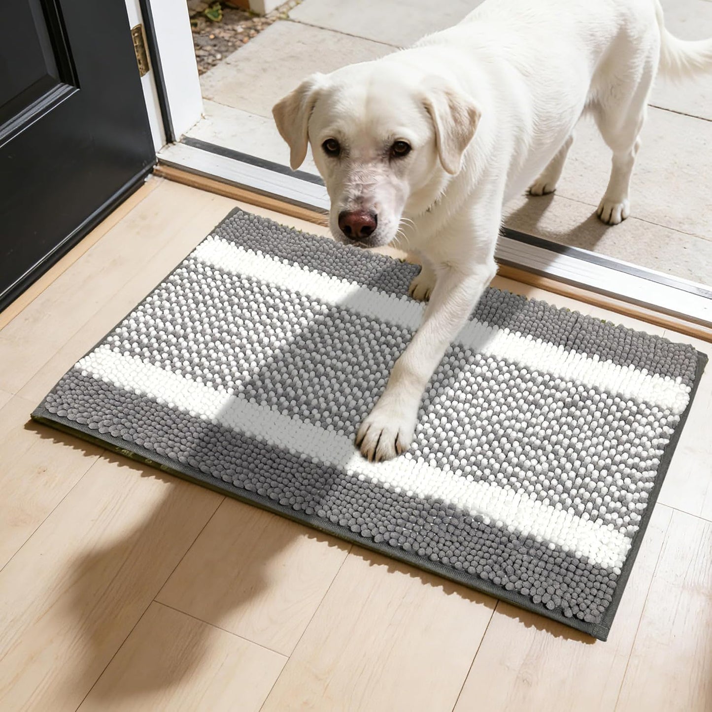 Dog Door Mat for Muddy Paws - Absorbent Quick-Dry Non-Slip Washable Chenille Pet Rug, Indoor Entryway Mat for Front Door & Crate (Brown, 24" L*16" W)