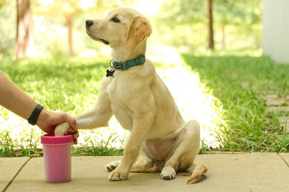 Dexas MudBuster Medium Dog Paw Cleaner in Fuchsia - Fits 1.5"-2.5" Wide Paws, Portable Paw Washer for Muddy Paws, Dog Paw Cleaning Cup with Gentle Silicone Bristles, Quick Clean Pet Paw Washer