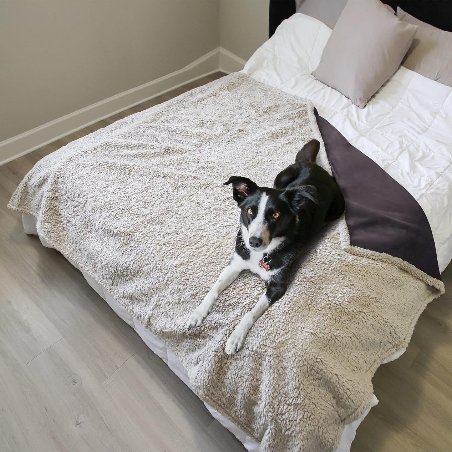 Kritter Planet Waterproof Dog Blanket, Reversible Water Proof Pet Blanket for Couch, Bed & Sofa, Washable Couch Covers for Large Dogs - Protects Furniture from Fur, Dirt, and Accidents