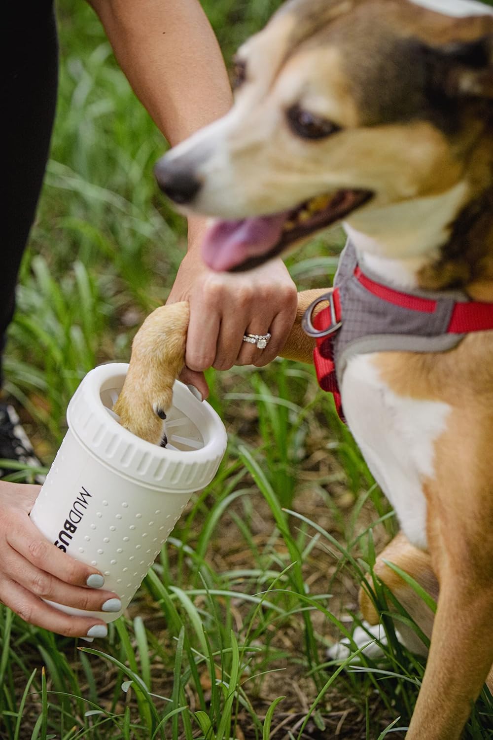 Dexas MudBuster Medium Dog Paw Cleaner in Fuchsia - Fits 1.5"-2.5" Wide Paws, Portable Paw Washer for Muddy Paws, Dog Paw Cleaning Cup with Gentle Silicone Bristles, Quick Clean Pet Paw Washer