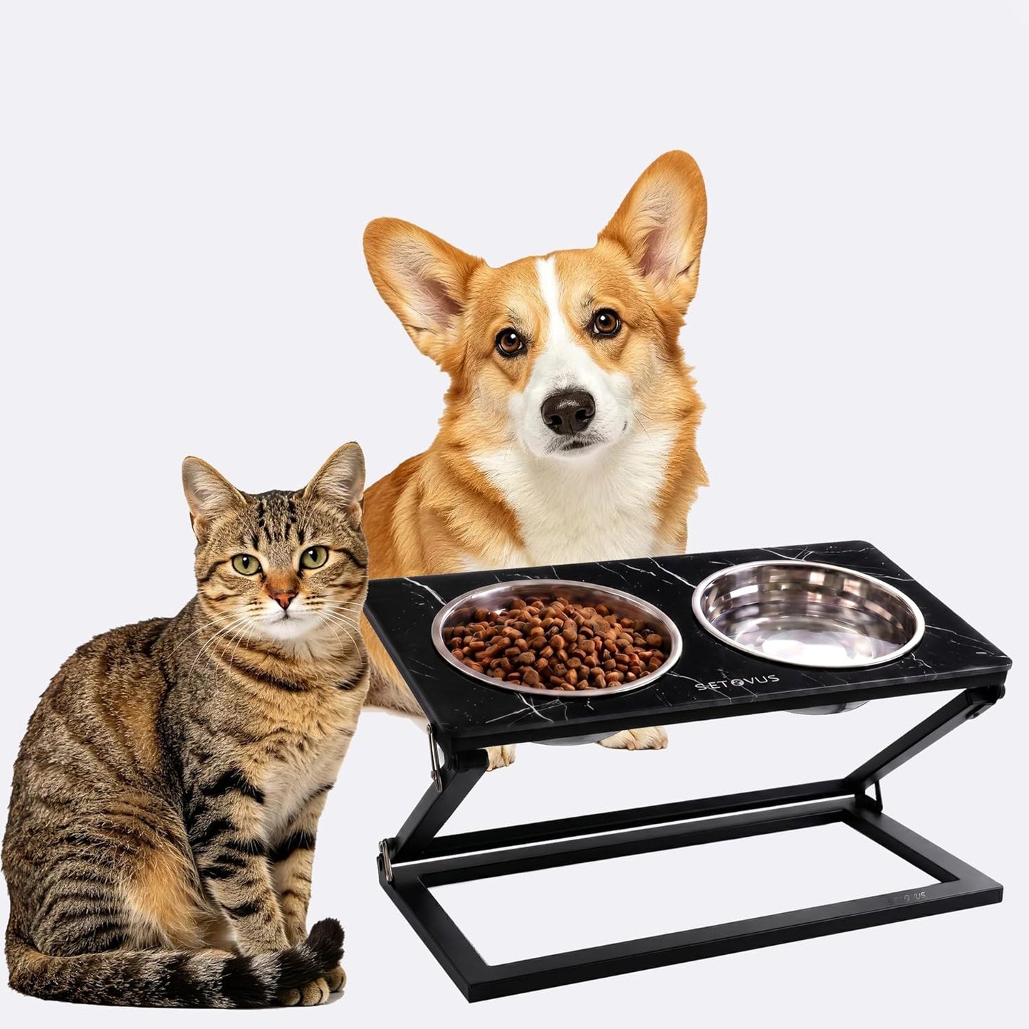 Elevated Dog Bowls, Adjustable Raised Dog Bowl Stand with 2 Stainless Steel Food Bowls 20°Tilted Water Bowls for Medium Small Sized Dogs (Black, Medium)