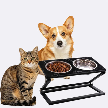 Elevated Dog Bowls, Adjustable Raised Dog Bowl Stand with 2 Stainless Steel Food Bowls 20°Tilted Water Bowls for Medium Small Sized Dogs (Black, Medium)