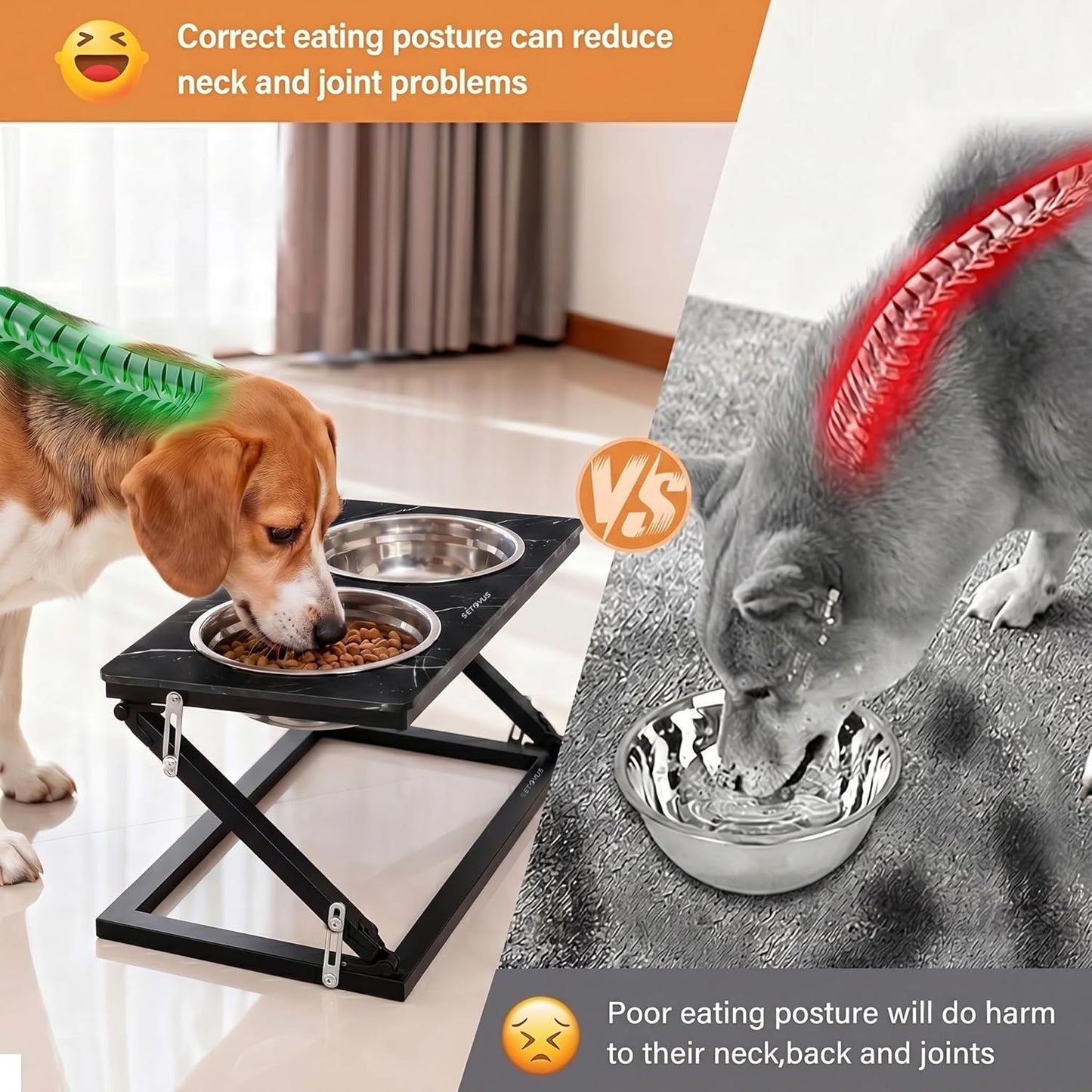 Elevated Dog Bowls, Adjustable Raised Dog Bowl Stand with 2 Stainless Steel Food Bowls 20°Tilted Water Bowls for Medium Small Sized Dogs (Black, Medium)