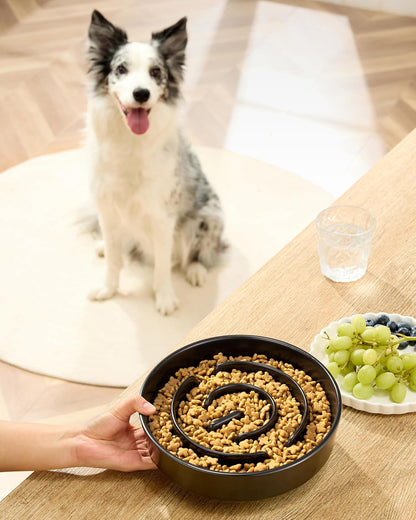 Ceramic Slow Feeder Dog Bowls, 2.0 Cups Slow Feeder for Medium Dogs, Puzzle Maze Bowl to Slow Down Eating, 30oz, 8in, White