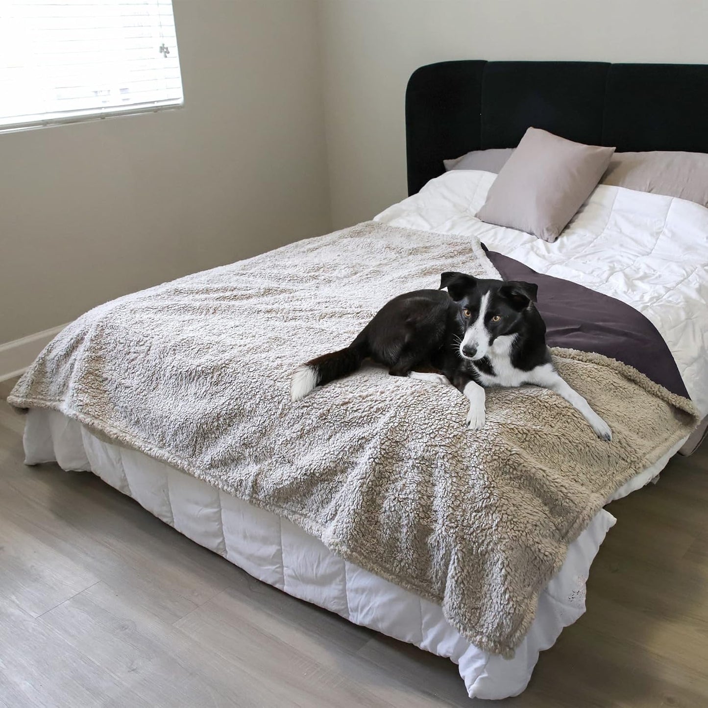 Kritter Planet Waterproof Dog Blanket, Reversible Water Proof Pet Blanket for Couch, Bed & Sofa, Washable Couch Covers for Large Dogs - Protects Furniture from Fur, Dirt, and Accidents