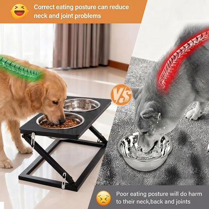 Elevated Dog Bowls, Adjustable Raised Dog Bowl Stand with 2 Stainless Steel Food Bowls 20°Tilted Water Bowls for Medium Small Sized Dogs (Black, Medium)