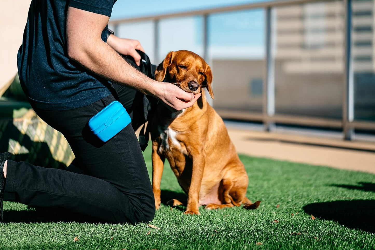 Dexas Pets Pooch Pouch Flexible Dog Treat/Training Treat Clip Pouch, Pro Blue