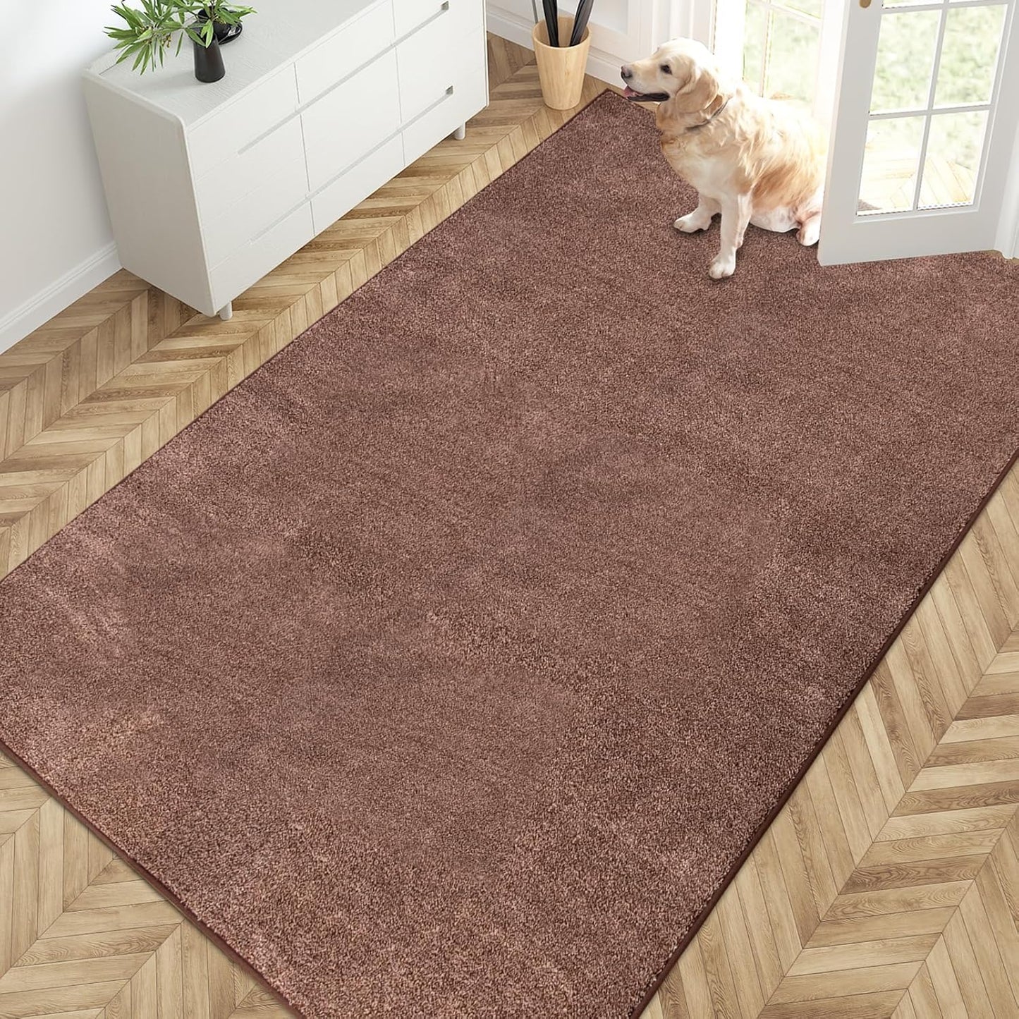 PURRUGS Dirt Trapping Door Mat 20" x 31.5", Non-Slip Machine Washable Entryway Rug, Dog Doormat, Indoor Front Door Mat, Super Absorbent Entry Rug for Muddy Shoes & Paws, Bluish Grey-Black