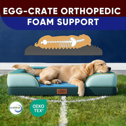 Comfort Expression Orthopedic Dog Bed for Extra Large Dogs 42x30 Inch, Waterproof Egg Crate Foam XL Pet Bed with Removable Bolsters, Dog Couch with Washable Cover & Non-Slip Bottom, Grey - Colors A