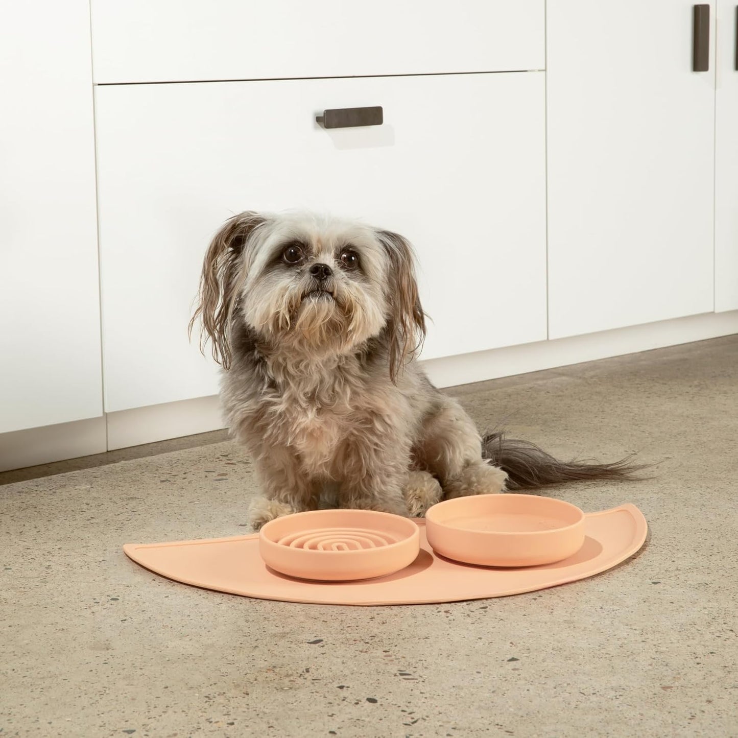 Should We Go? Slow Feeder for Dogs & Puppies, The Slowdown Bowl Silicone Slow Eating, Modern Lick Mat Design, Reduces Gulping, Fits 2 Cups, 7.5” Across x 1.5” Tall, Mealtime Challenge, Medium-Blush