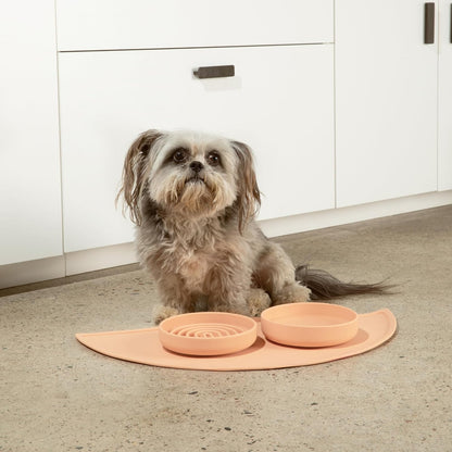 Should We Go? Slow Feeder for Dogs & Puppies, The Slowdown Bowl Silicone Slow Eating, Modern Lick Mat Design, Reduces Gulping, Fits 2 Cups, 7.5” Across x 1.5” Tall, Mealtime Challenge, Medium-Blush