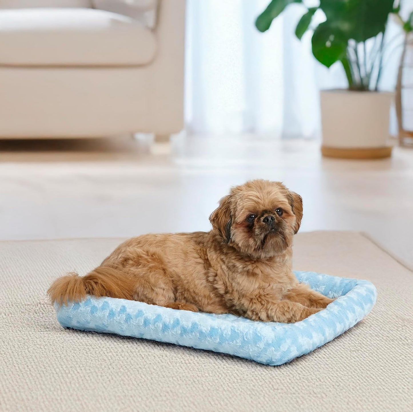 MidWest Homes for Pets QuietTime Dog Bed - White Fleece Bolster, Ultra-Soft and Machine Washable, Fits 24-Inch Crates and Carriers, for Small Breed Dogs