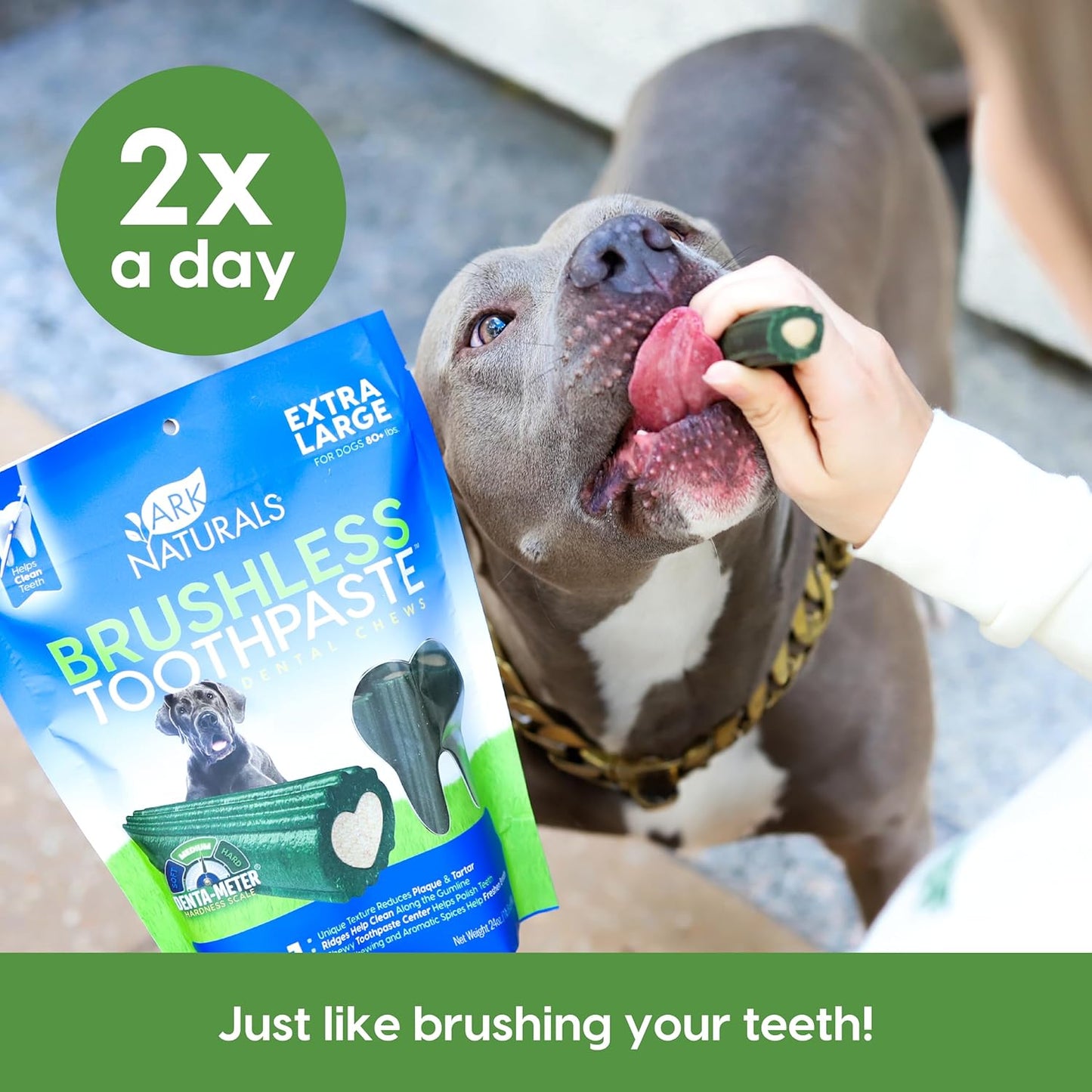 Ark Naturals Soft Brushless Toothpaste, Dog Dental Chews for Small Breeds, Freshens Breath, Unique Texture Helps Reduce Plaque & Tartar, 12oz, 1 Pack