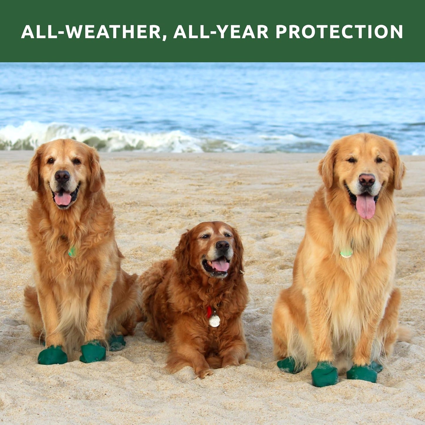 PawZ Rubber Dog Boots for Large Paws - All-Weather Waterproof Dog Shoes, Anti-Slip Traction for Rain, Snow, Mud & Hot Pavement - Pull-On Dog Booties, Purple - Large (3"- 4") - Pack of 24