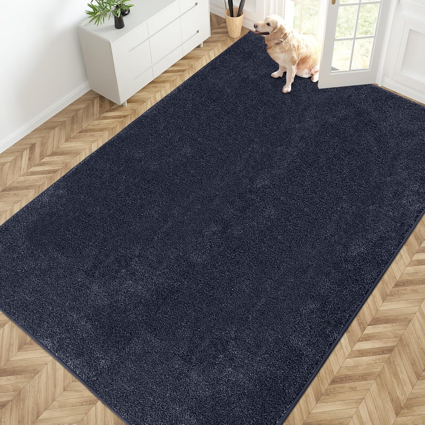PURRUGS Dirt Trapping Door Mat 20" x 31.5", Non-Slip Machine Washable Entryway Rug, Dog Doormat, Indoor Front Door Mat, Super Absorbent Entry Rug for Muddy Shoes & Paws, Bluish Grey-Black