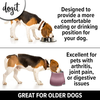 Dogit Elevated Dog Bowl, Stainless Steel Dog Food and Water Bowl for Large Dogs, White, 73753
