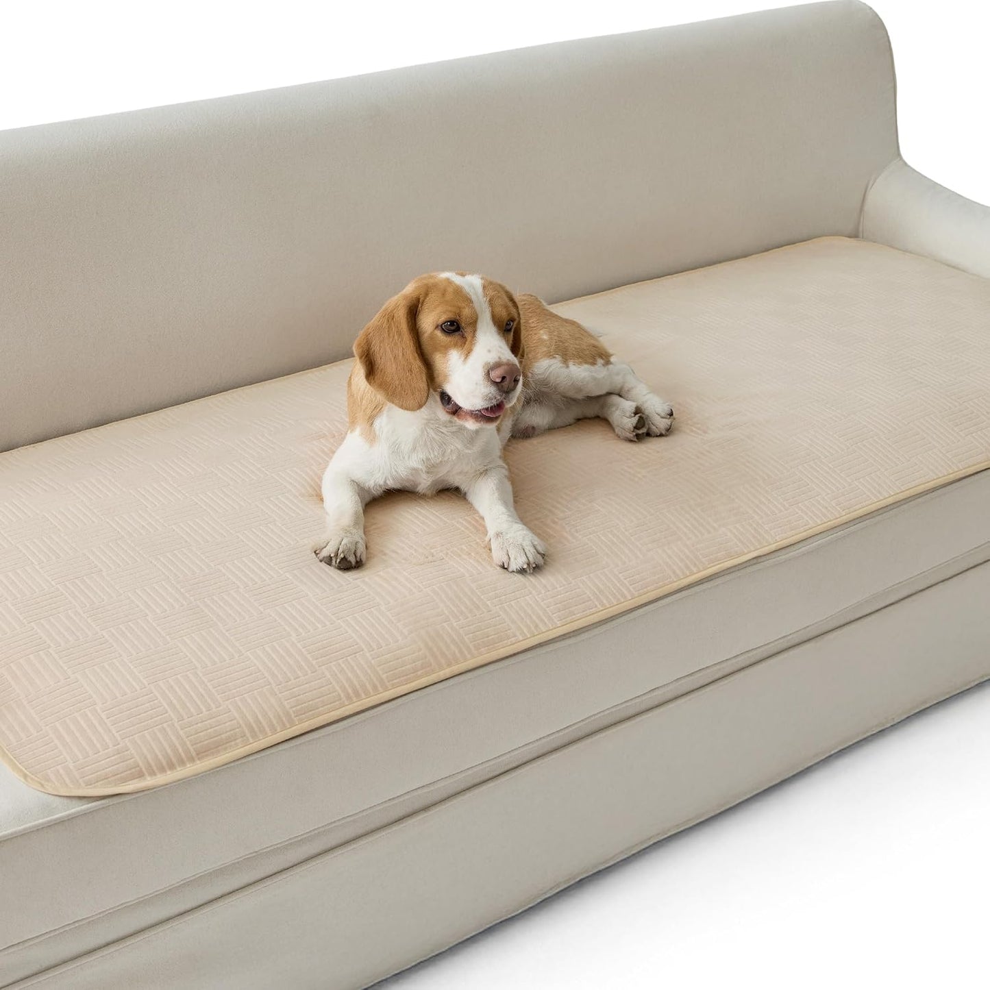 Bedsure Waterproof Couch Cover for Dogs Washable - Waterproof Blanket for Large Dogs Couch Sofa Bed Cozy, Lightweight Furniture Protector for Pet Cat Quick Drying, Ash Grey, 52x82IN