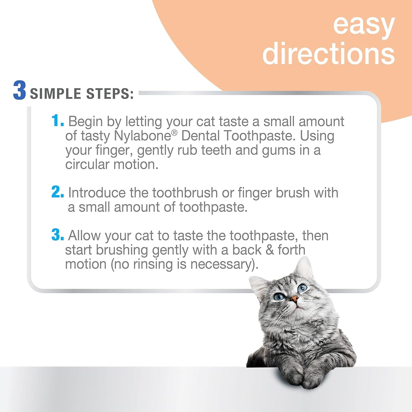 Nylabone Advanced Oral Care Dog Dental Kit Original Flavor 2.5 oz.