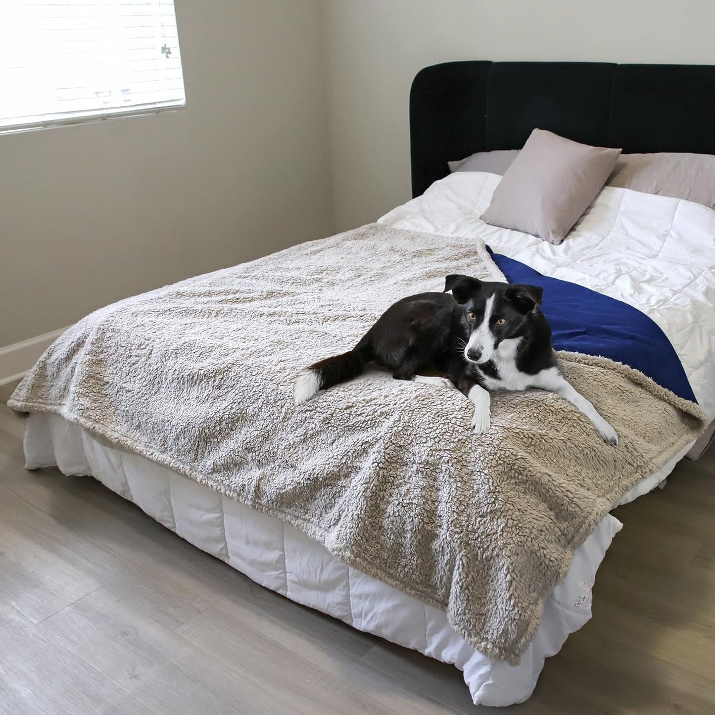 Kritter Planet Waterproof Dog Blanket, Reversible Water Proof Pet Blanket for Couch, Bed & Sofa, Washable Couch Covers for Large Dogs - Protects Furniture from Fur, Dirt, and Accidents