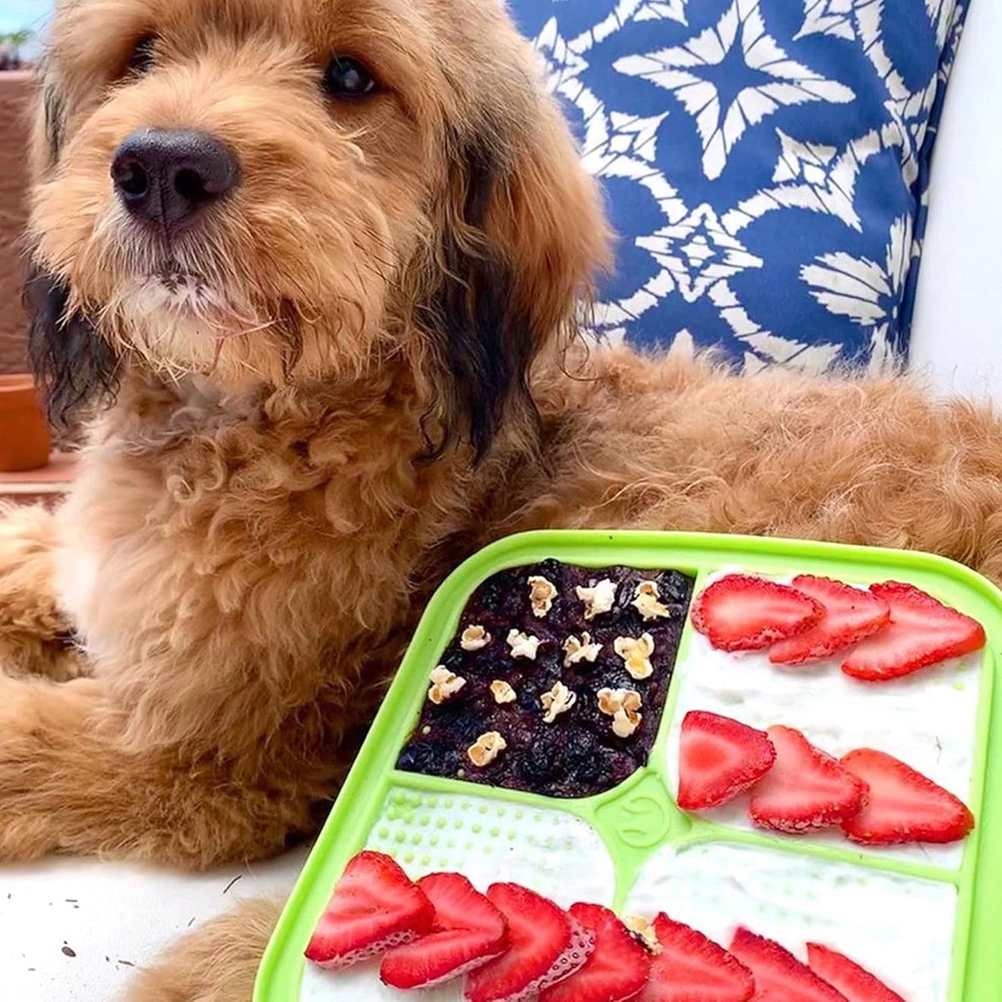 Hyper Pet IQ Treat Lick Mat for Dogs & Cats | Dog & Cat Slow Feeder & Enrichment Toy | Made in USA