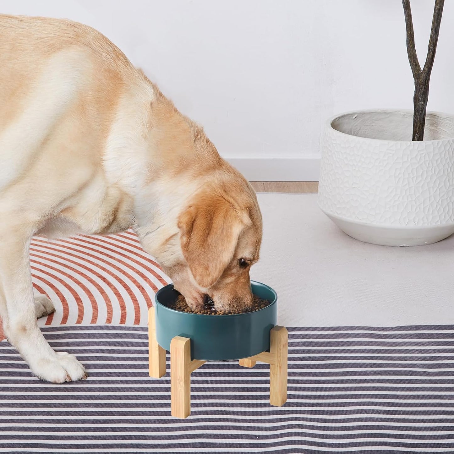 6'' Ceramic Raised Dog Bowl - 30Oz Dog Food & Water Bowl with Elevated Non-Slip Bamboo Stand, Dishwasher & Microwave Safe, Anti Vomiting Heavy Duty Pet Bowl for Small and Medium Dogs, White