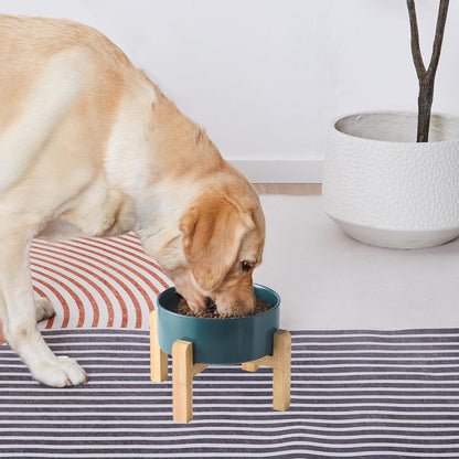 6'' Ceramic Raised Dog Bowl - 30Oz Dog Food & Water Bowl with Elevated Non-Slip Bamboo Stand, Dishwasher & Microwave Safe, Anti Vomiting Heavy Duty Pet Bowl for Small and Medium Dogs, White
