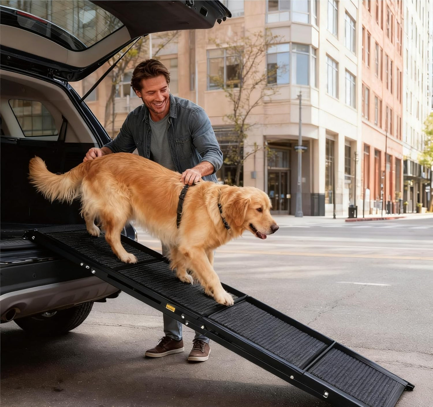 Folding Dog Ramp for Car 71" Long & 19" Wide Portable Pet Ramps with Non-Slip Rug Surface, Outdoor Dog Car Ramp for Large Dogs, SUV Car & Truck, Dog Steps Up to 250LBS