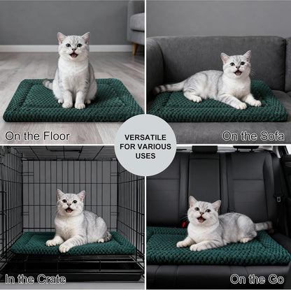 Dog Bed Mat, Reversible Crate Pad & Cute Dog Bed - Machine Washable Kennel Mat with Ultra Soft for Small Dogs (Cool/Warm), 24" x 18", Grey&Star