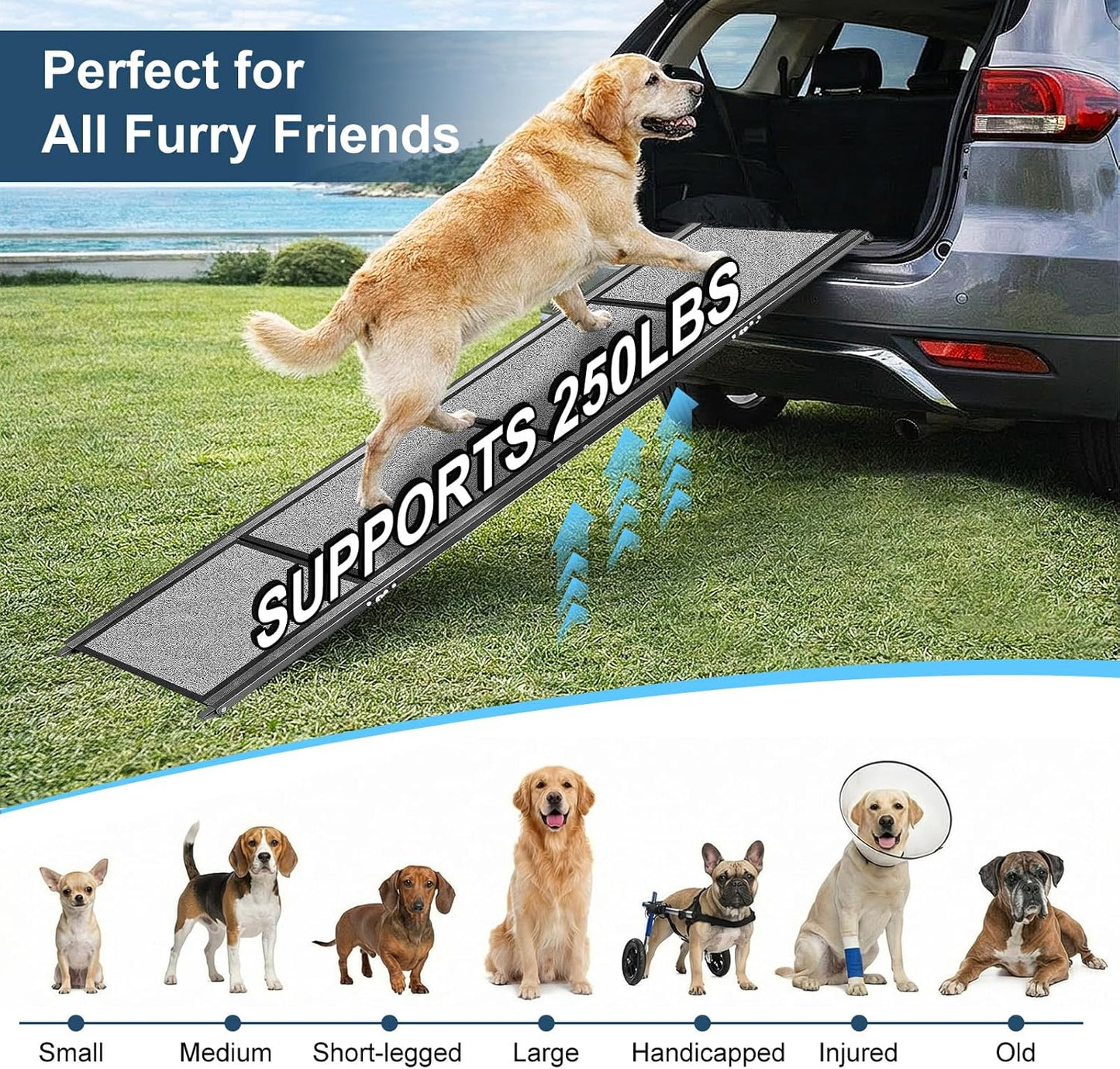 Dog Ramp for Cars 71"Long x 20"Wide SUV & Trucks, Non-Slip Surface Aluminum Pet Ramps for Small & Large Dogs–Heavy Duty Foldable Lightweight Portable Ramp for Senior Dogs High Bed Couch Outdoor 250lbs