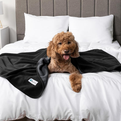 PetAmi Waterproof Dog Blanket for Medium Large Pets Dogs Cats, Pet Couch Cover Protector for Furniture, Reversible Washable Soft Fleece Cat Blanket for Bed Couch Sofa, 40x60 (Taupe/Beige)