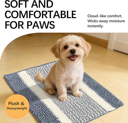 Dog Door Mat for Muddy Paws - Absorbent Quick-Dry Non-Slip Washable Chenille Pet Rug, Indoor Entryway Mat for Front Door & Crate (Brown, 24" L*16" W)