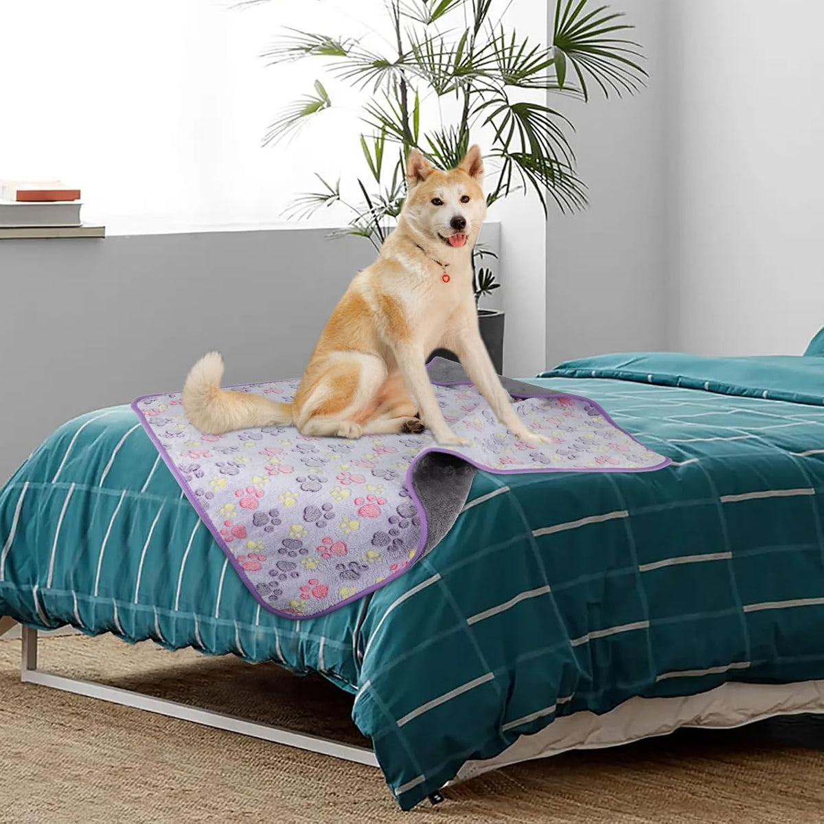 Waterproof Dog Blankets, Washable Reversible Throw 40 x 30 in | White and Coffee Pair, Soft Fleece with Mylar Layer, Machine Washable, Bed Sofa and Car Protection, Medium and Large Dogs