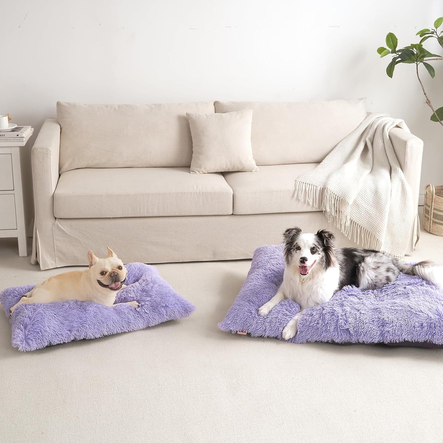 EHEYCIGA Fluffy Dog Crate Bed for Medium Dogs, Plush Faux Fur Crate Pad, Calming Anti Anxiety Medium Dog Bed, Washable Soft Warm Crate Mat with Non-Slip Bottom